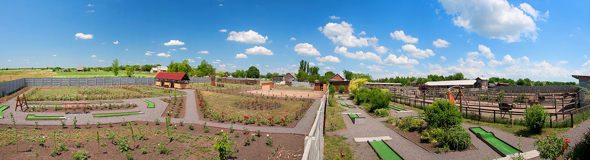 Страусиновая ферма из Николаева