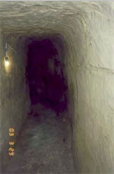 Подземный Николаев