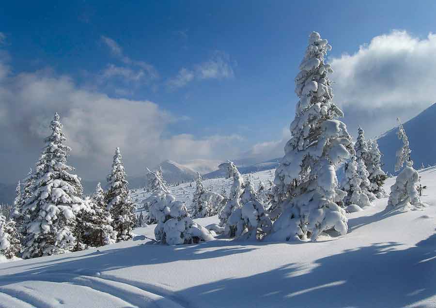 поездка на зимних каникулах из Николаева